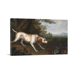 Hunting Dog (Type: Standard Framed Canvas Print, size: 40" x 26" / 100cm x 65cm (approx))